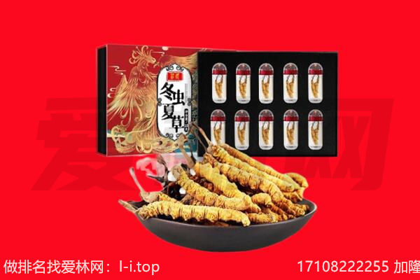 梅河口市回收虫草.jpg